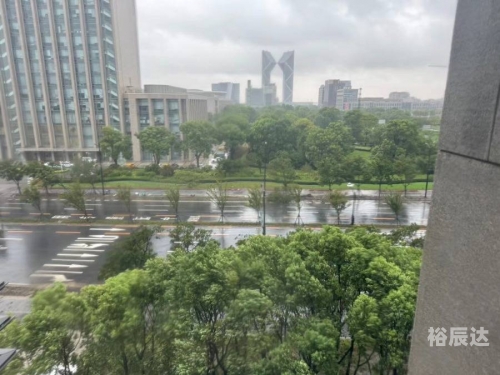 上海 台风上海遭遇台风，风雨中的城市之旅-第1张图片