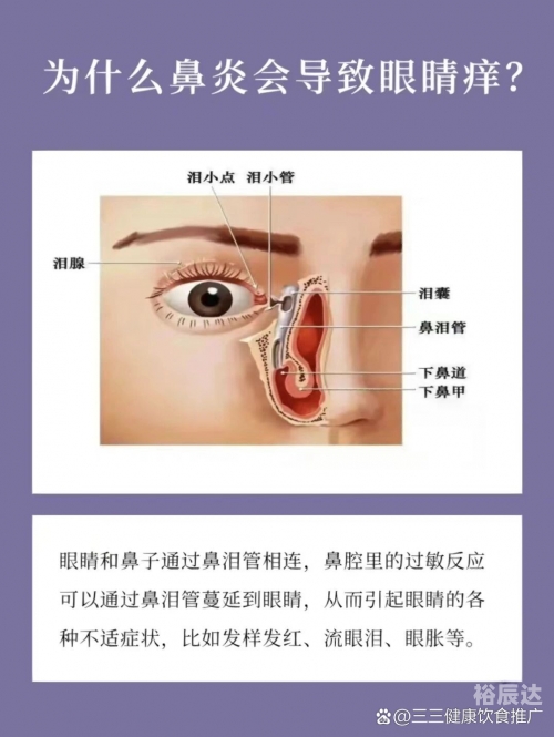打喷嚏闭眼睛的原理打喷嚏与闭眼睛的原理-第2张图片