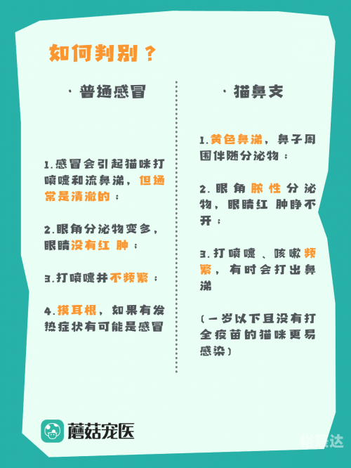 打喷嚏闭眼睛的原理打喷嚏与闭眼睛的原理