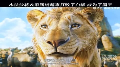 为了国王的尊严与荣耀